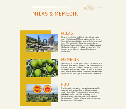 Gaia Pearls Mor Seri - Olgun Hasat Soğuk Sıkım Natürel Sızma Zeytinyağı 3 Lt