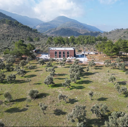 Gaia Pearls Turuncu Seri - Erken Hasat Soğuk Sıkım Natürel Sızma Zeytinyağı