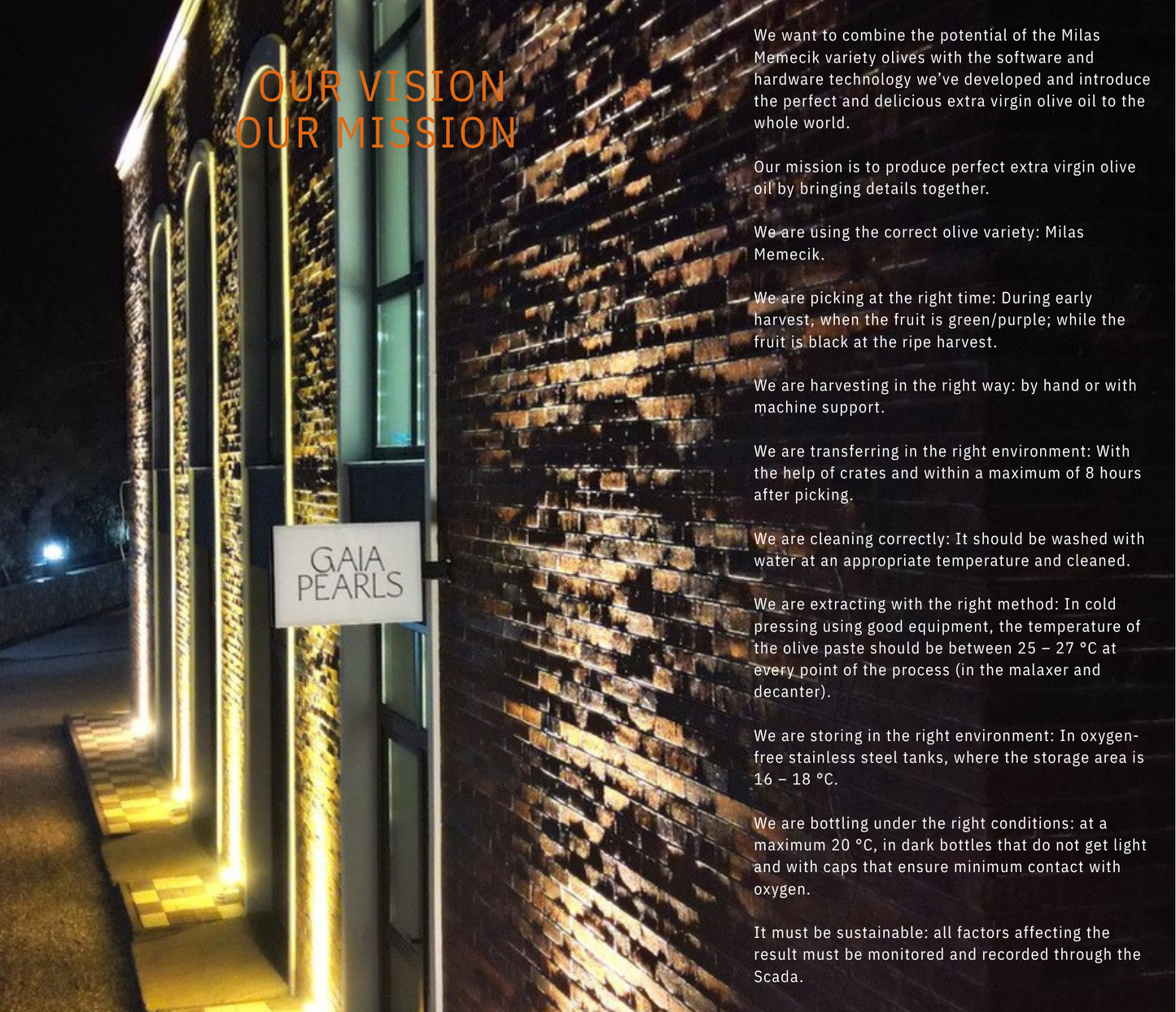 Gaia Pearls Mor Seri - Olgun Hasat Soğuk Sıkım Natürel Sızma Zeytinyağı 3 Lt