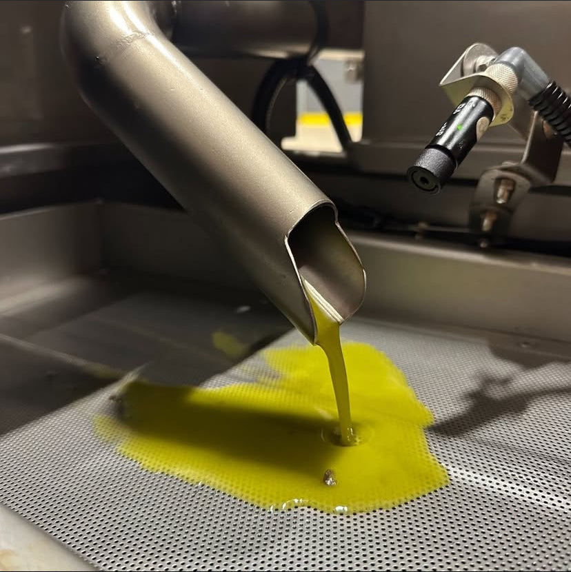 Gaia Pearls Mor Seri - Olgun Hasat Soğuk Sıkım Natürel Sızma Zeytinyağı 3 Lt